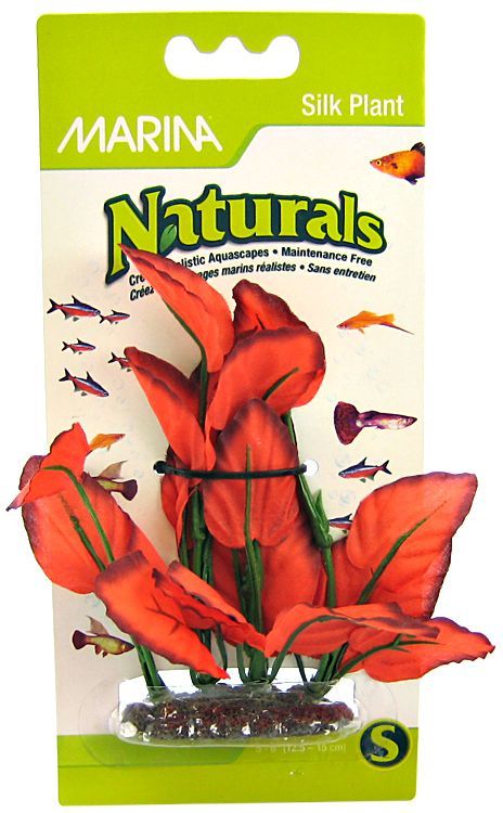 Marina Silk Foreground Aquarium Plant - Red image 0