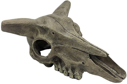 Komodo Deer Skull Terrarium Decoration image 0