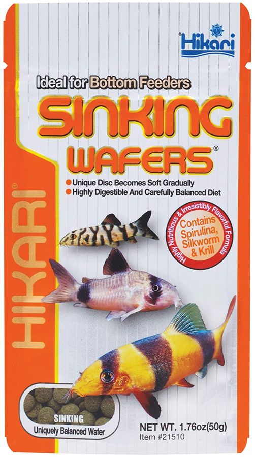 Hikari Sinking Wafers for Bottom Feeding Fish image 0