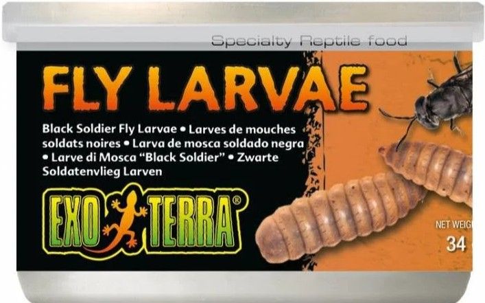 Exo Terra Canned Black Soldier Fly Larvae Specialty Reptile Food image 0