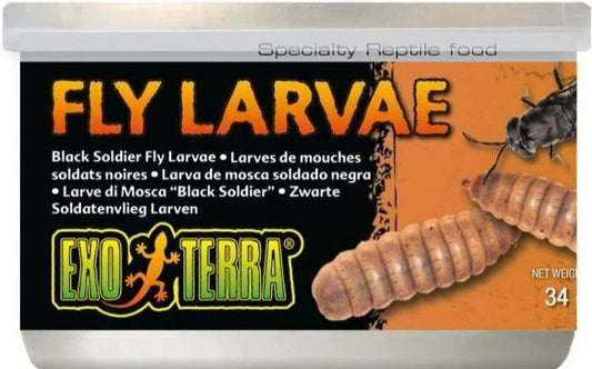 Exo Terra Canned Black Soldier Fly Larvae Specialty Reptile Food image 0