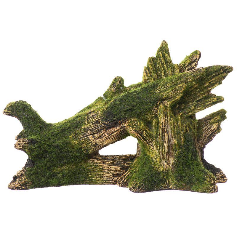 Exotic Environments Fallen Moss Covered Tree image 0