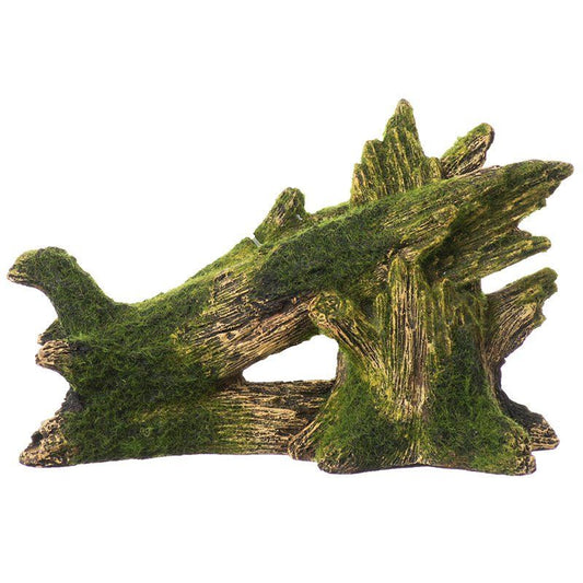 Exotic Environments Fallen Moss Covered Tree image 0