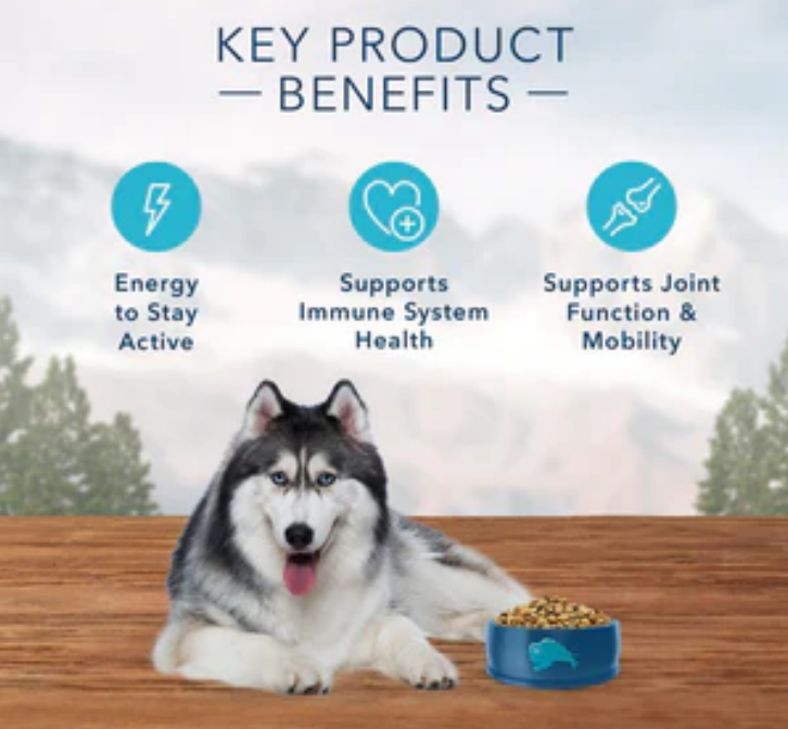 Blue Buffalo Wilderness Grain Free Chicken High Protein Recipe Senior Dog Food image 2