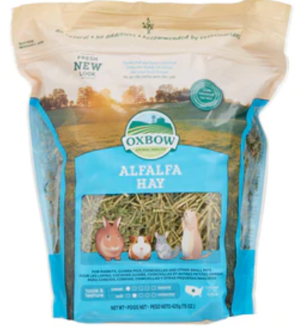 Oxbow Alfalfa Hay Small Animal Hay - 9 lb Bag image 0