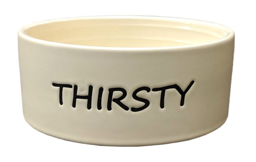 Spot Thirsty Dog Dish Water Bowl image 0