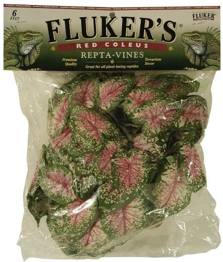 Flukers Red Coleus Repta-Vines image 0