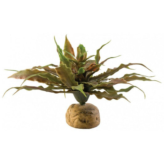 Exo-Terra Desert Star Cactus Terrarium Plant image 0