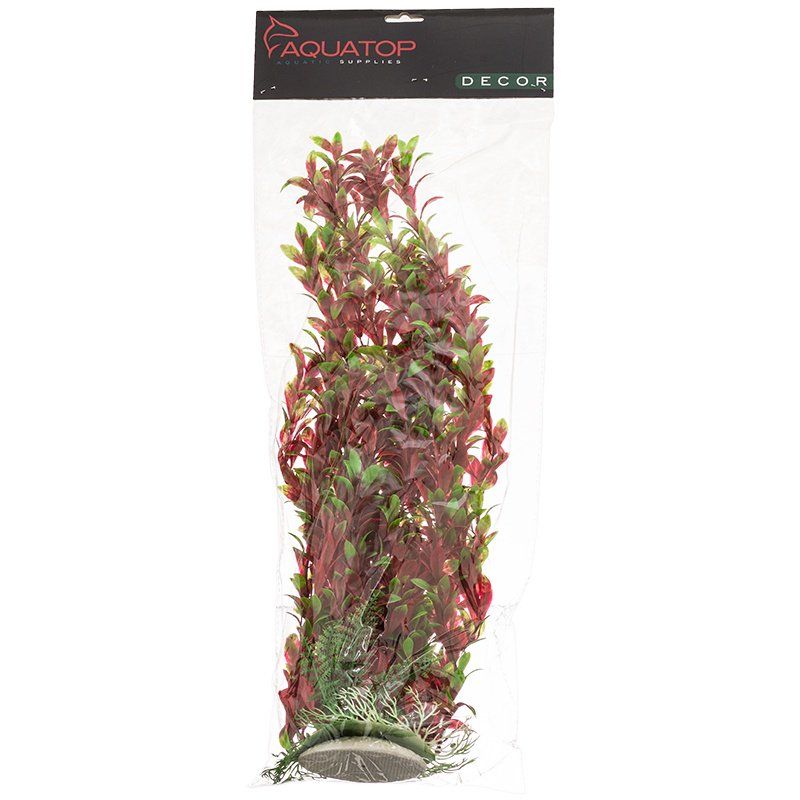 Aquatop Hygro Aquarium Plant - Red & Green image 0
