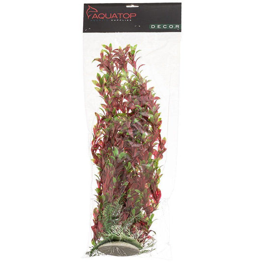 Aquatop Hygro Aquarium Plant - Red & Green image 0