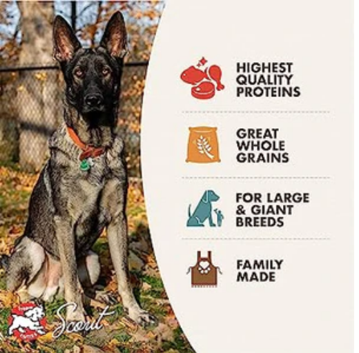 FROMM Gold Adult Large-Breed Premium Chicken Dry Dog Food image 1