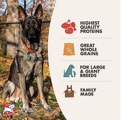 FROMM Gold Adult Large-Breed Premium Chicken Dry Dog Food image 1