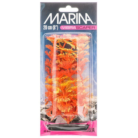 Marina Vibrascraper Ambulia Plant - Orange & Yellow image 0
