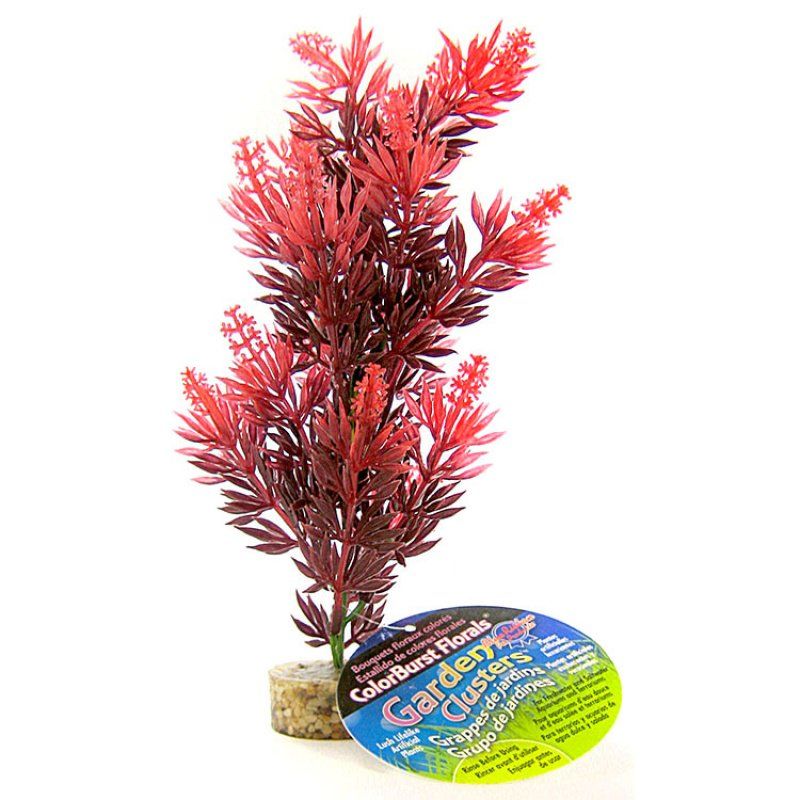 Blue Ribbon Bush Plant with Gravel Base - Red image 0