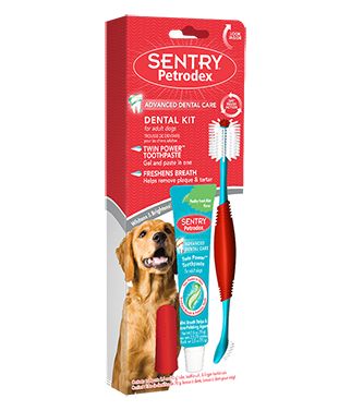 Sentry Petrodex Dental Kit for Adult Dogs image 0