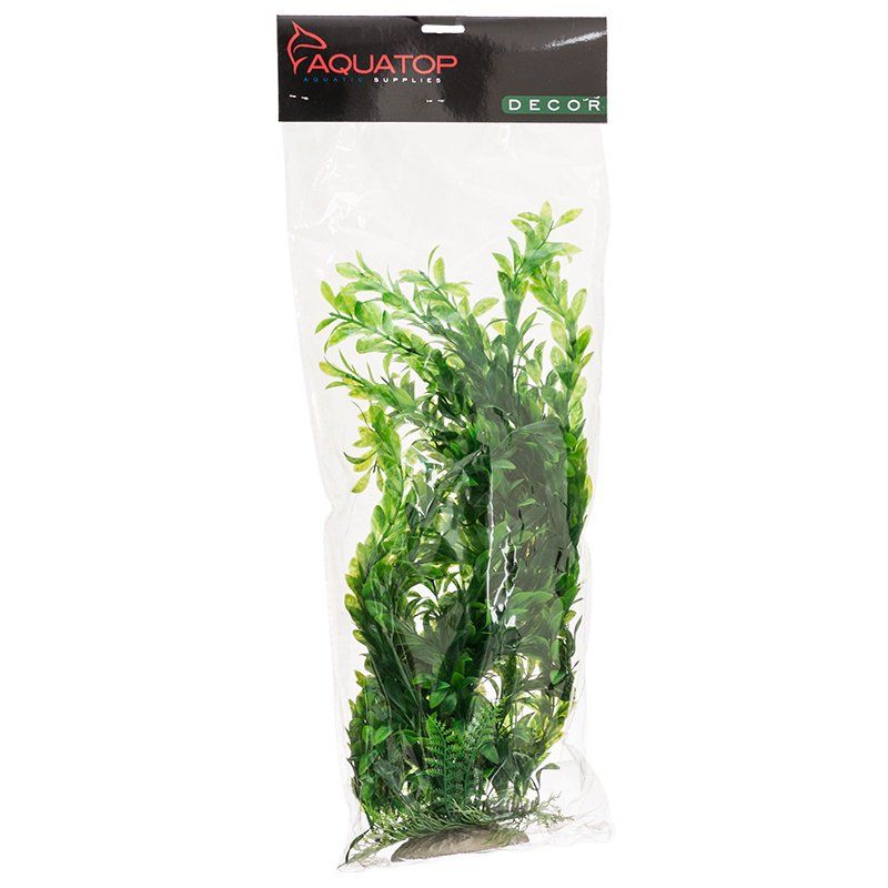 Aquatop Hygro Aquarium Plant - Green image 0