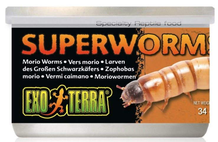 Exo Terra Canned Superworms Specialty Reptile Food image 0