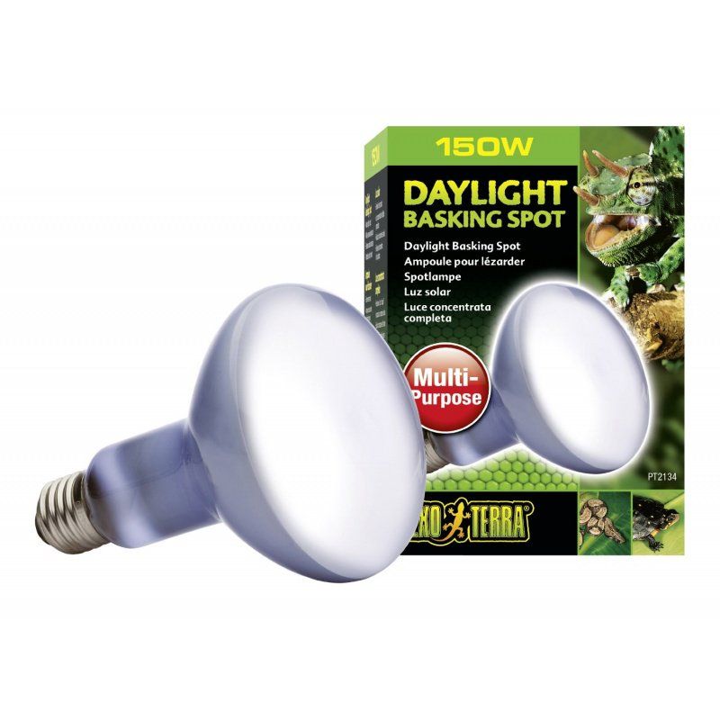 Exo-Terra Sun Glo Neodymium Basking Spot Lamps image 0