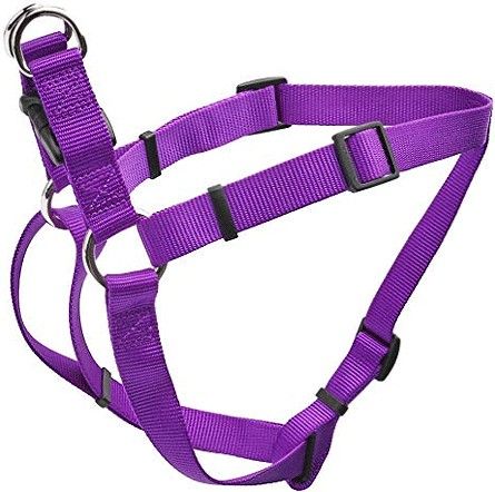 Coastal Pet Comfort Wrap Adjustable Harness Purple image 0
