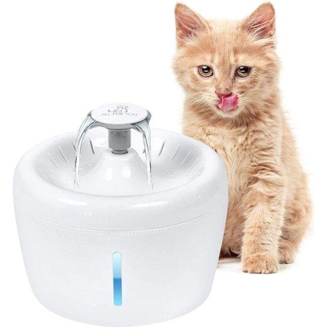 All Fur You Whisper Water Fountain image 0