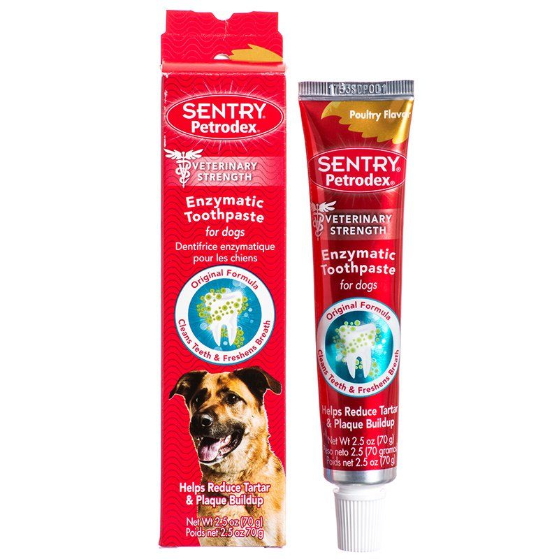 Petrodex Enzymatic Toothpaste for Dogs & Cats image 0