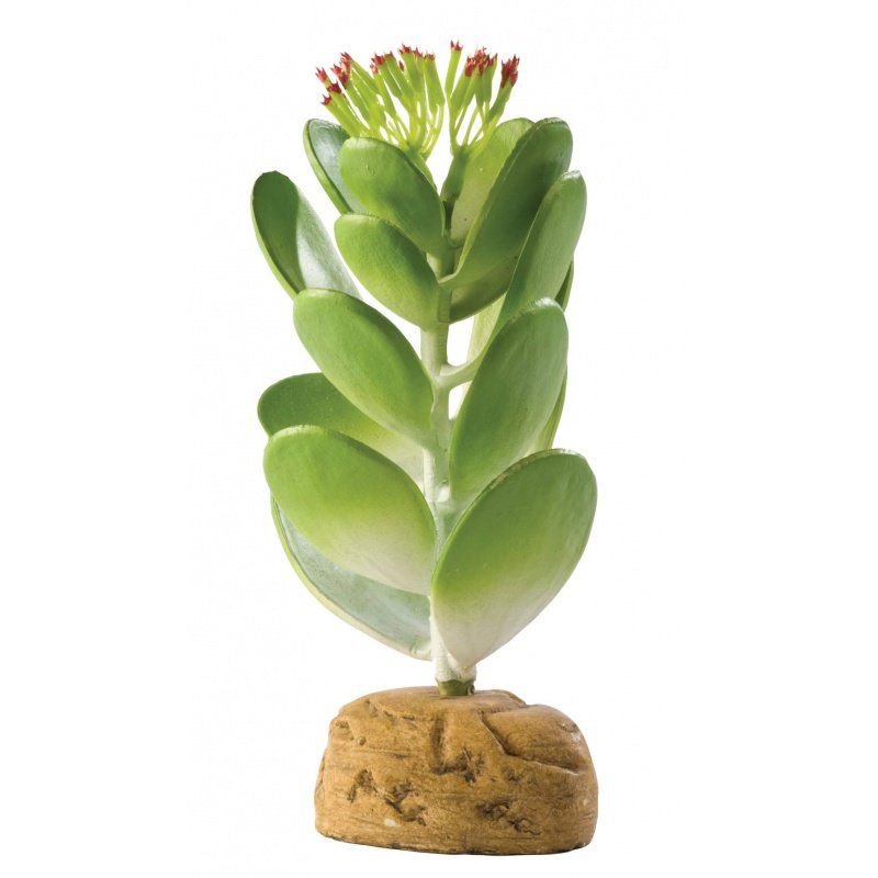 Exo-Terra Desert Jade Cactus Terrarium Plant image 0
