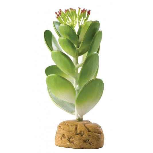 Exo-Terra Desert Jade Cactus Terrarium Plant image 0