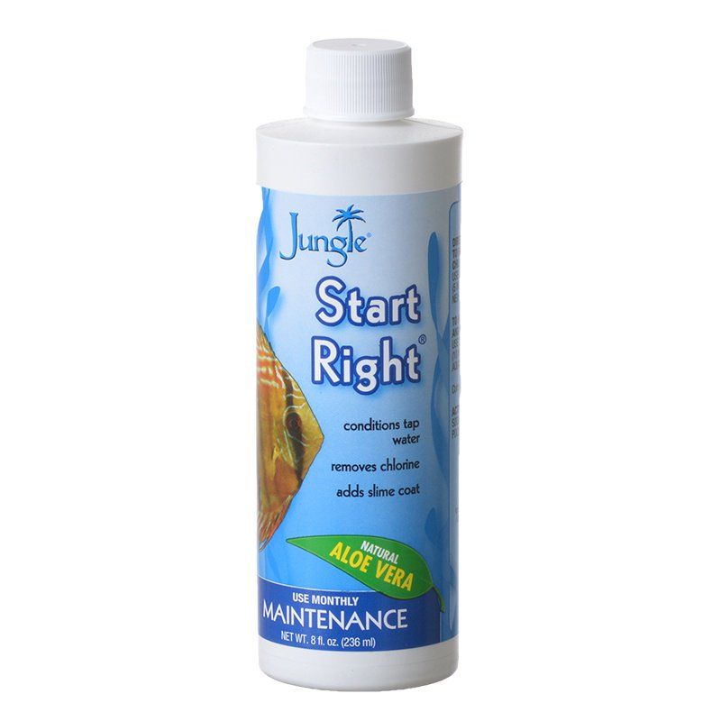 Jungle Start Right image 0