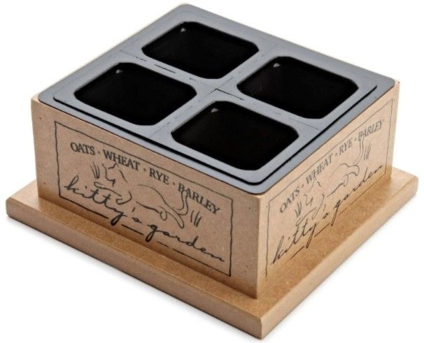 Pioneer Pet Kittys Garden in Wooden Box image 0