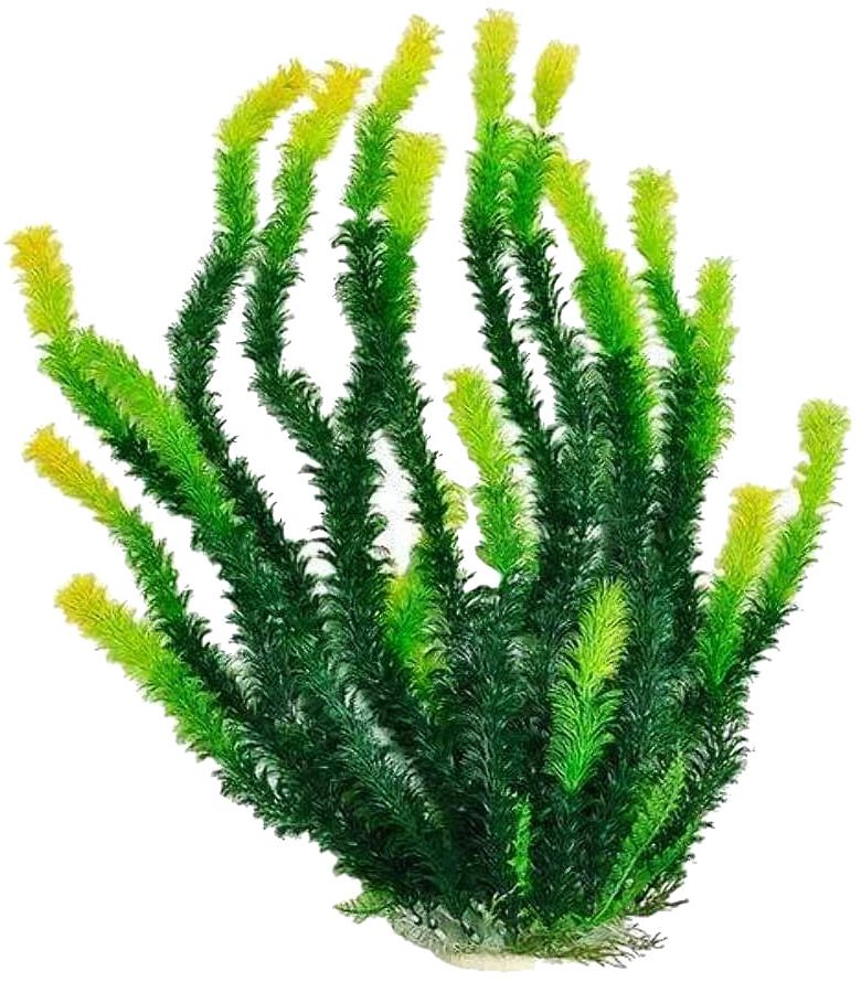 Aquatop Green Aquarium Plant with Light Tips image 0