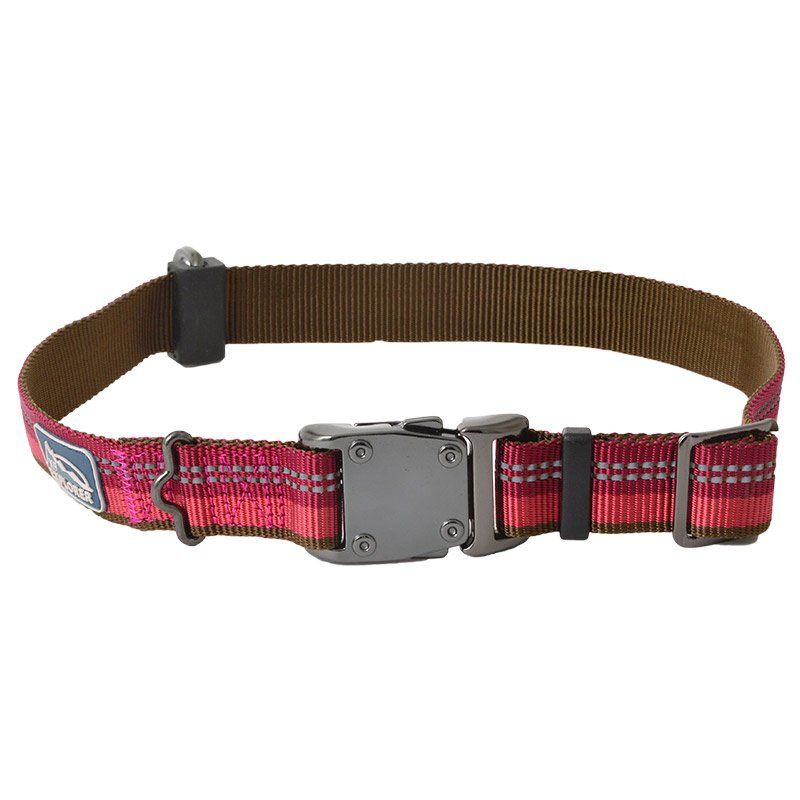 K9 Explorer Berry Red Reflective Adjustable Dog Collar image 0