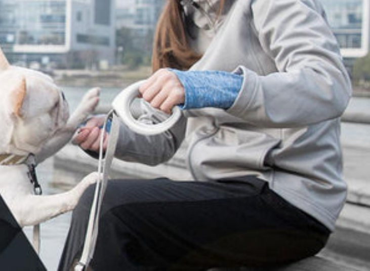 PETKIT ® 'GO' Bluetooth Route and Distance Tracking Smart Dog Leash image 2