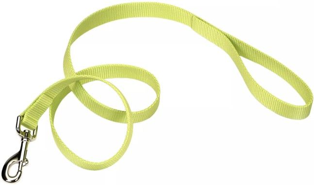 Coastal Pet Single-Ply Nylon Dog Leash Lime Green image 0