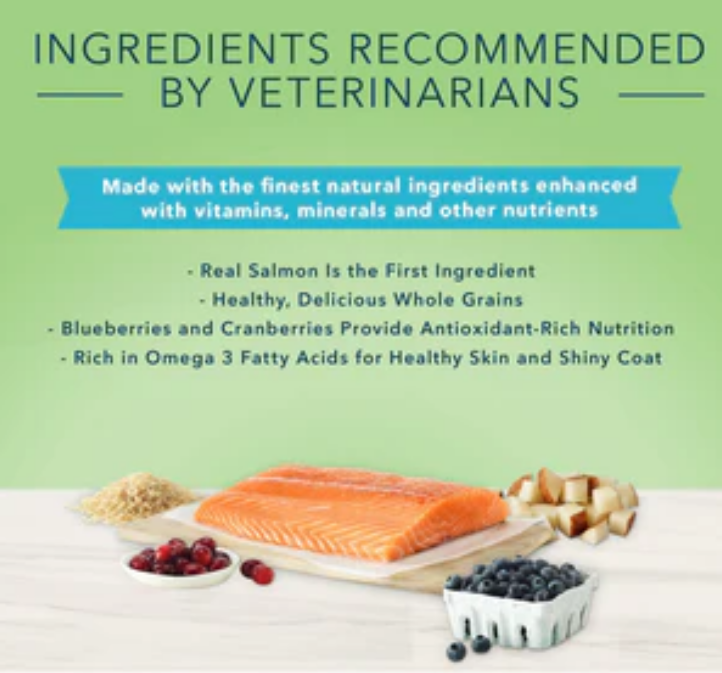 Blue Buffalo True Solutions Perfect Coat Natural Skin & Coat Care Salmon Recipe image 2
