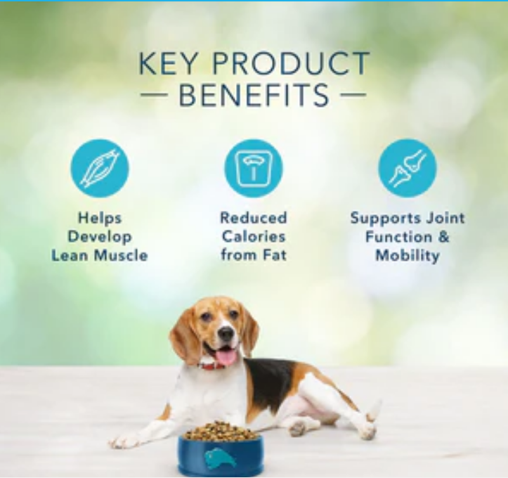 Blue Buffalo Freedom Adult Healthy Weight Chicken Recipe Dry Dog Food 24lb Bag image 1
