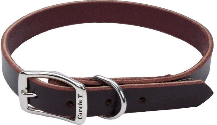 Circle T Latigo Leather Town Collar image 0