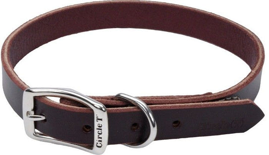 Circle T Latigo Leather Town Collar image 0