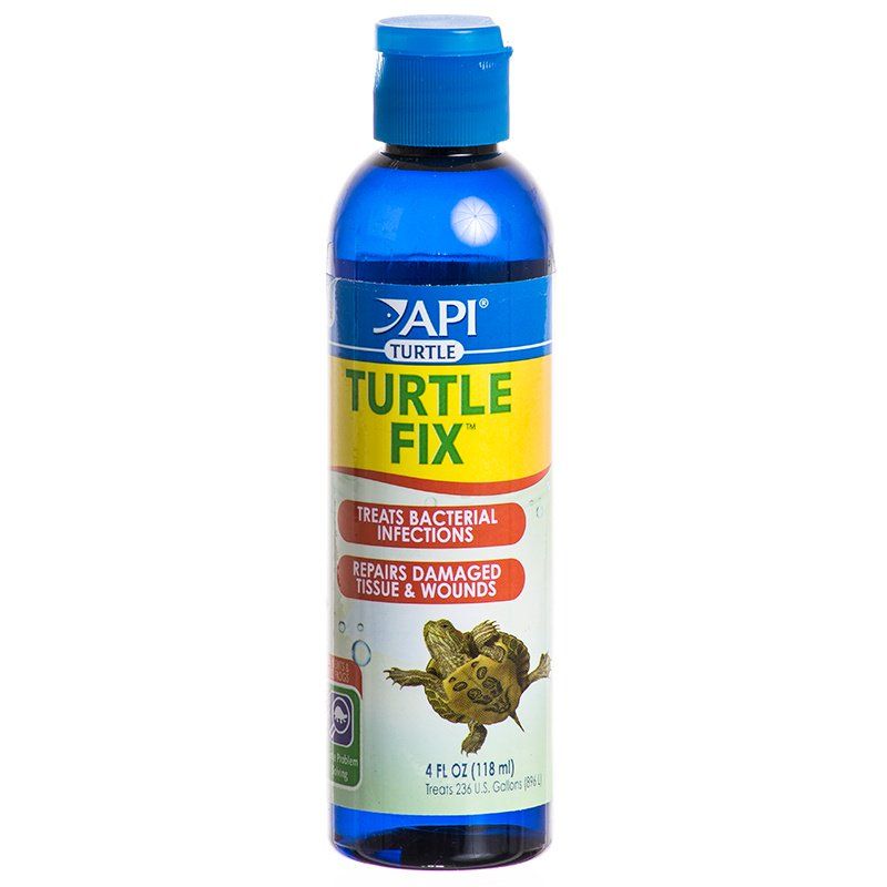 API Turtle Fix image 0