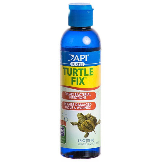 API Turtle Fix image 0