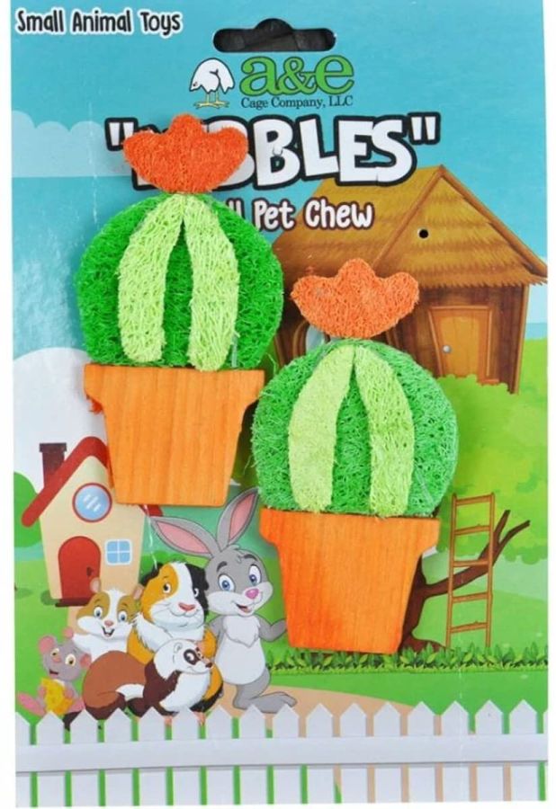 AE Cage Company Nibbles Barrel Cactus Loofah Chew Toy with Wood image 0