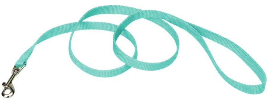 Coastal Pet Single-ply Teal Nylon Dog Lead image 0